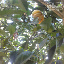 фото из отзыва ID 2247759