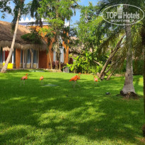 фото из отзыва ID 2247834