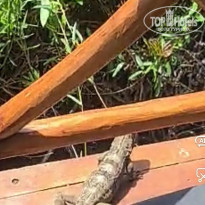 фото из отзыва ID 2247834