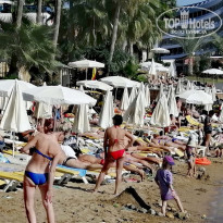 фото из отзыва ID 2247868