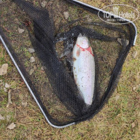 фото из отзыва ID 2247772