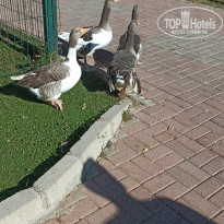 фото из отзыва ID 2247968