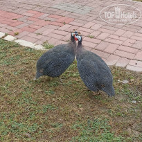 фото из отзыва ID 2247968