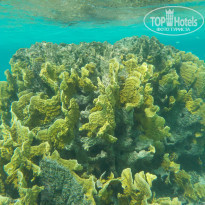 фото из отзыва ID 2248049