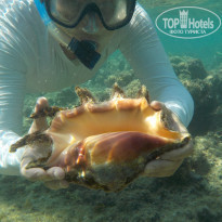 фото из отзыва ID 2248049