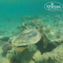 фото из отзыва ID 2248049