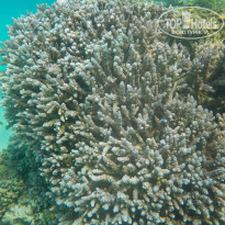 фото из отзыва ID 2248049