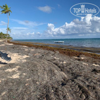 фото из отзыва ID 2246251