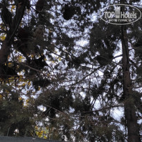 фото из отзыва ID 2248070