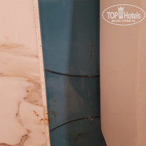 фото из отзыва ID 2248161