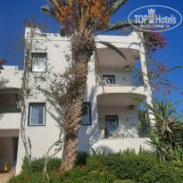 фото из отзыва ID 2248254