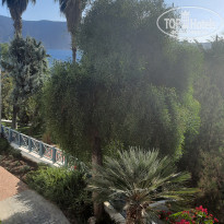 фото из отзыва ID 2248254