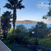 фото из отзыва ID 2248254