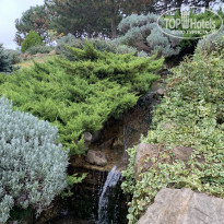 фото из отзыва ID 2248345