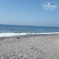 фото из отзыва ID 2248415