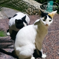 фото из отзыва ID 2248412