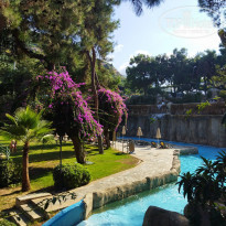 фото из отзыва ID 2248443