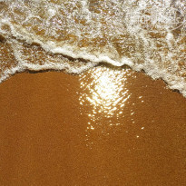 фото из отзыва ID 2248486