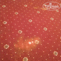 фото из отзыва ID 2248766