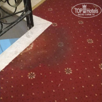 фото из отзыва ID 2248766