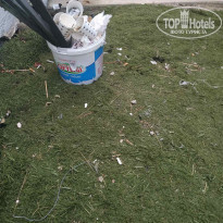 фото из отзыва ID 2248766