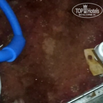 фото из отзыва ID 2248766