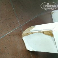 фото из отзыва ID 2248766