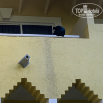 фото из отзыва ID 2248838