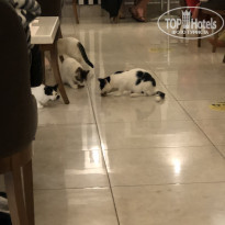 фото из отзыва ID 2248908