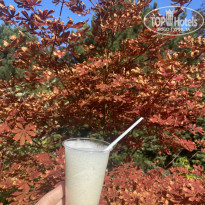 фото из отзыва ID 2248961