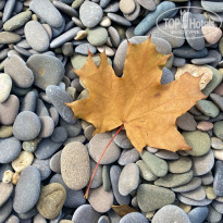 фото из отзыва ID 2248961