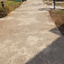 фото из отзыва ID 2248984