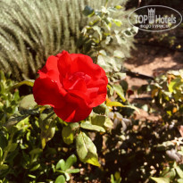 фото из отзыва ID 2249008