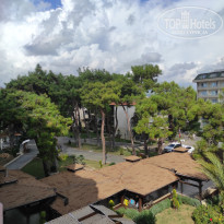 фото из отзыва ID 2249026