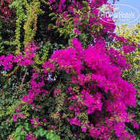 фото из отзыва ID 2249095