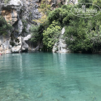 фото из отзыва ID 2248079