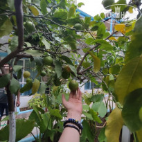 фото из отзыва ID 2249176