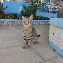 фото из отзыва ID 2249176