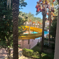 фото из отзыва ID 2249247