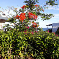 фото из отзыва ID 2249307