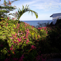 фото из отзыва ID 2249307