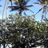 фото из отзыва ID 2249307