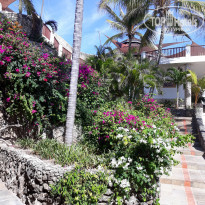 фото из отзыва ID 2249307