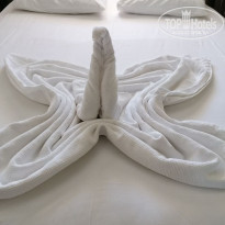 фото из отзыва ID 2249318