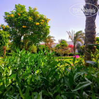 фото из отзыва ID 2247992