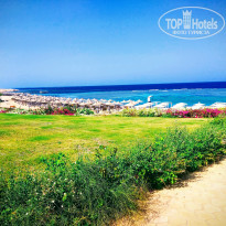 фото из отзыва ID 2247992