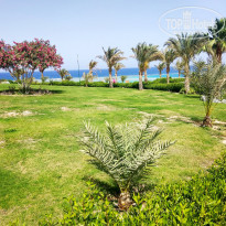 фото из отзыва ID 2247992