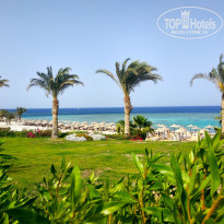 фото из отзыва ID 2247992