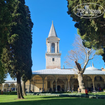 фото из отзыва ID 2249437