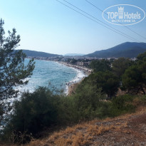 фото из отзыва ID 2249508